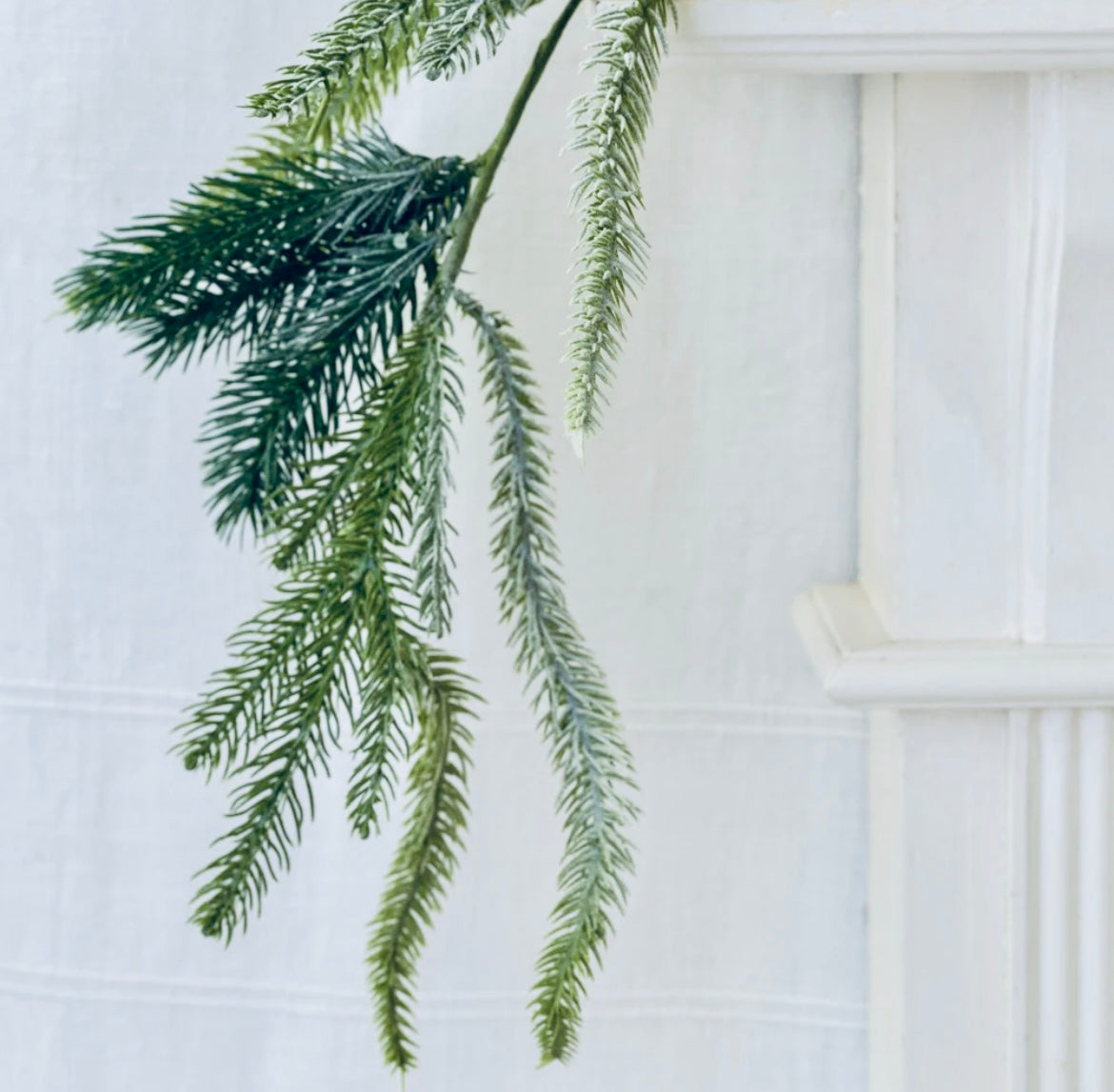 Artificial greenery hanging against a white wall