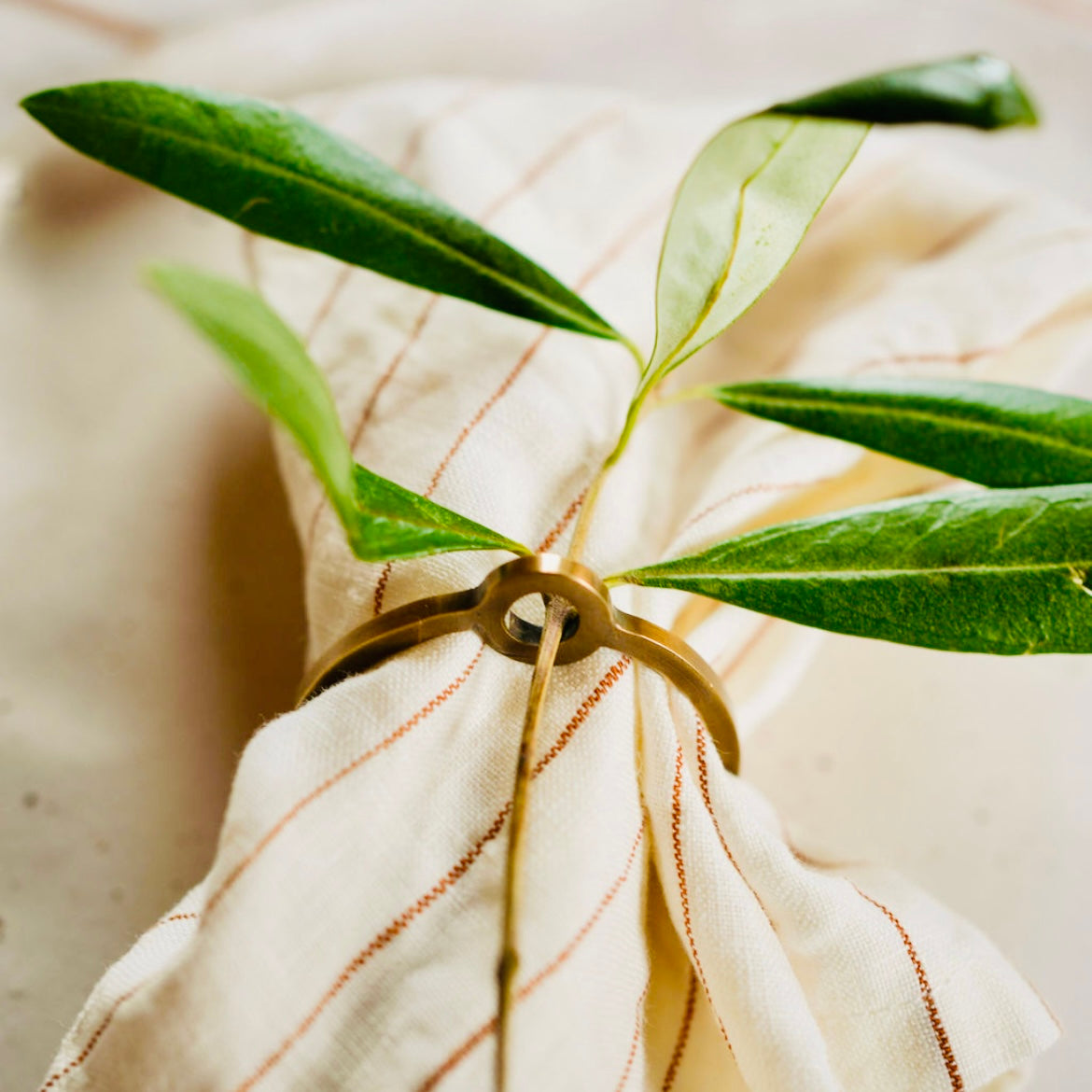 Brass O Napkin Ring Set of 4