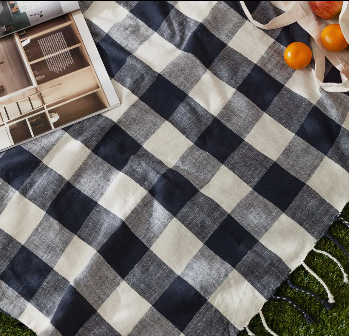 Black and white checkered fabric on a grassy surface with a magazine and oranges.