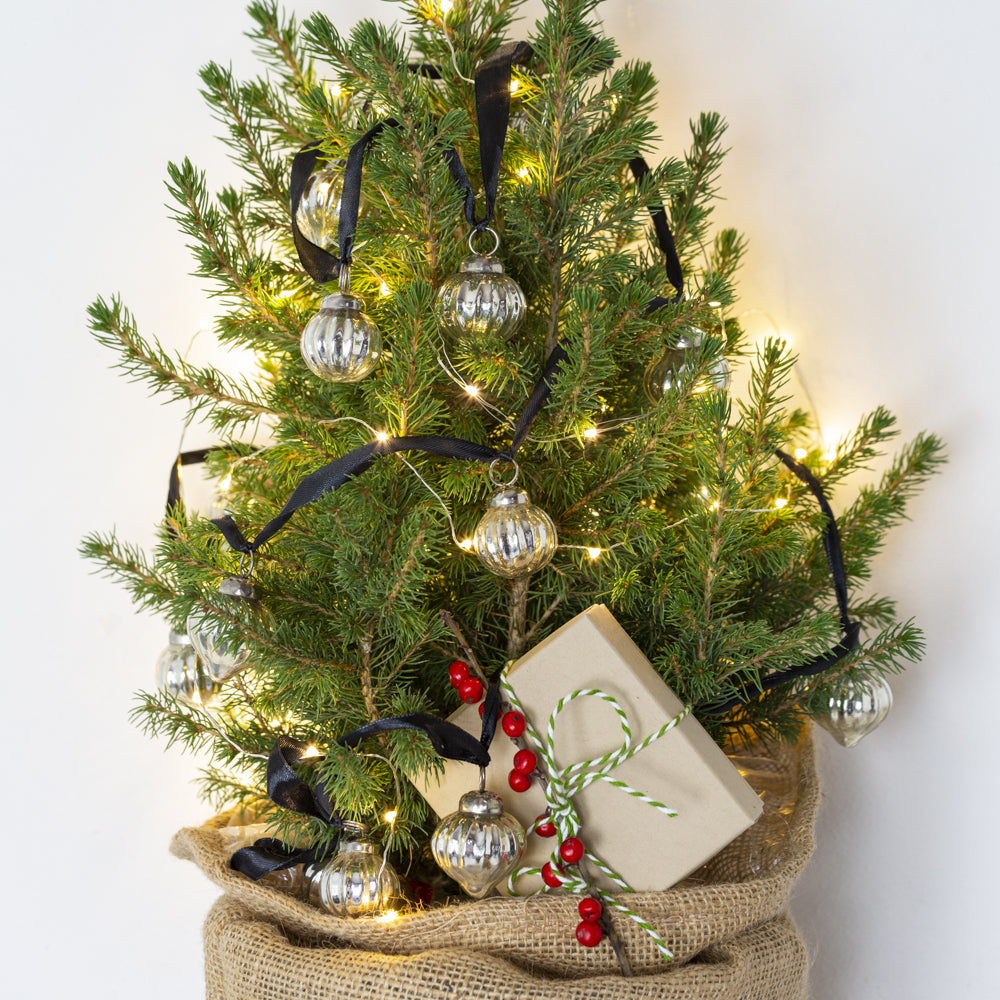 Small decorated Christmas tree with lights, ornaments, and a gift on a white background